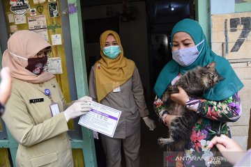 Jakarta Barat vaksinasi 3.107 ekor hewan penular rabies