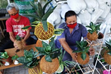 Tanaman kokedama