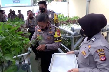 Polres Kuningan kembangkan hidroponik bantu ketahanan pangan