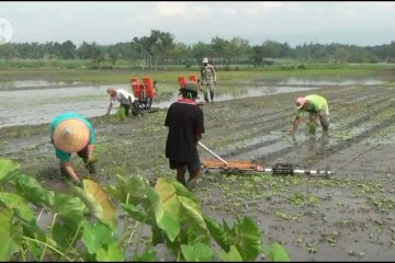 Dampingi ilmu titen petani, BMKG gelar Sekolah Lapang Iklim di Gunungkidul