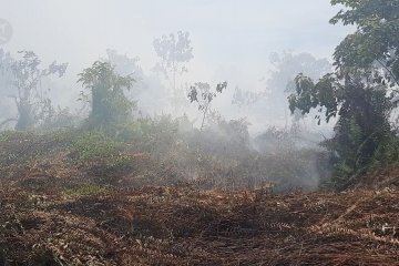 3 hektare lahan gambut di Kubu Raya terbakar