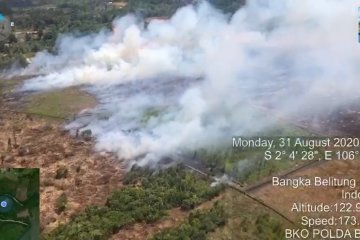 Tim udara Polda Babel temukan titik api di hutan lindung