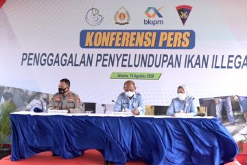 KKP dan Korpolairud gagalkan penyelundupan 54 ton fillet ikan dori