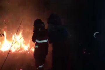 Manggala Agni padamkan dua titik karhutla di Konawe Selatan