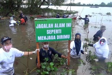 Menjaga flora & fauna Kalsel dengan tanam mangrove bersama