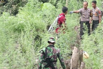 Tentang ganja sebagai tanaman obat binaan, Kementan dan BNN saling berkoordinasi