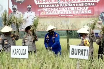 TNI-Polri lakukan panen raya di Kabupaten Batang