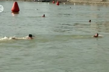 Keseruan berenang melintasi perairan deras Danube di Budapest