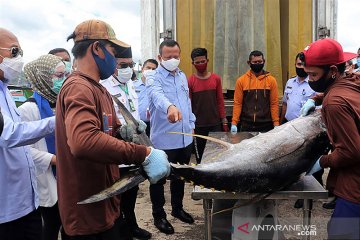 Edhy Prabowo : KKP serius kembangkan sektor kelautan Ambon