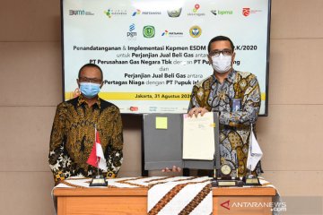 Kontribusi PGN untuk kebutuhan gas industri pupuk