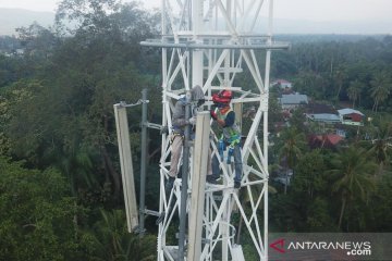 PT Telkomsel tingkatkan kapasitas jaringan dukung aktivitas virtual