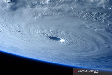 Topan Maysak hantam wilayah Semenanjung Korea, putus aliran listrik