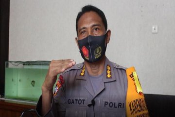 Lima kabupaten rawan konflik pilkada di Papua