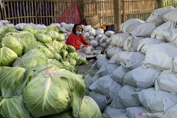 Kementan siap buka akses pasar ekspor produk hortikultura asal Malang