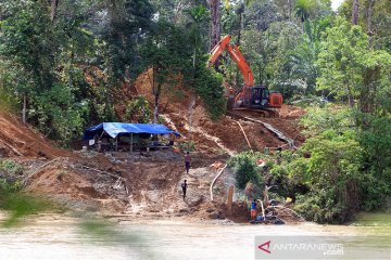 Penambangan emas ilegal di Aceh Barat diduga rambah hutan lindung