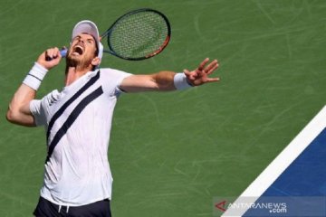 Andy Murray dapat wildcard untuk Australian Open Februari mendatang