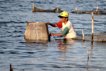 Edhy Prabowo: Pendampingan dan modal jadi masalah korporasi nelayan