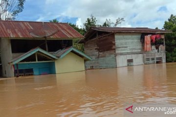 BNPB: Luapan lima sungai sebabkan banjir di Kabupaten Landak