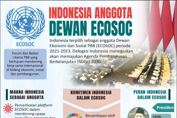 Indonesia anggota Dewan ECOSOC