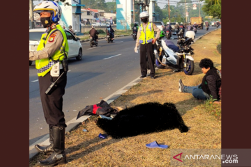 Seberangi Jalan Daan Mogot, seorang pejalan kaki tewas tertabrak motor