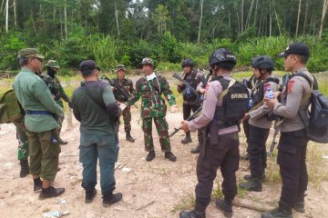 Tim aparat gabungan tangkap pembalak liar di Muaro Jambi.