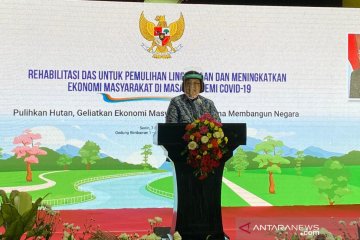 KLHK dorong peningkatan rehabilitasi DAS oleh pemegang IPPKH