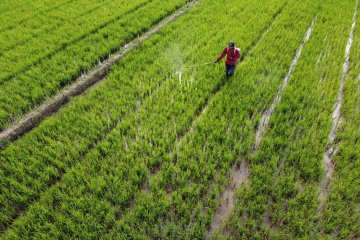 Kementan dan produsen terus perangi peredaran pestisida palsu