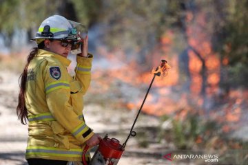 Upaya antipasi kebakaran hutan di Australia