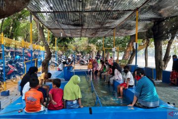 Kolam Terapi Ikan Setu Babakan semakin diminati warga
