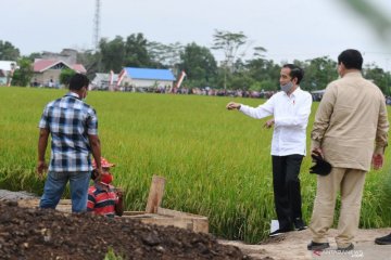 Kementerian ATR serahkan data inventarisasi tanah dukung food estate
