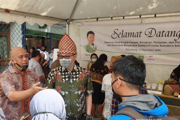 Tim BRG fasilitasi pameran produk pangan masyarakat desa gambut Sumsel