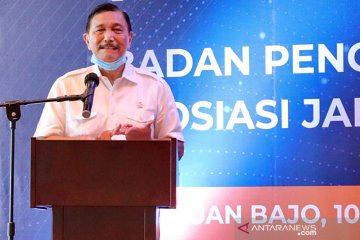 Luhut harap Sovereign Wealth Fund mulai berjalan bulan depan