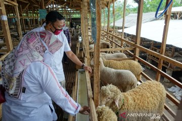 OJK gandeng Bank Jatim dorong tiga sektor bangkit di tengah pandemi