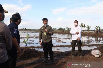 Mentan perintahkan mekanisasi lahan food estate sebelum tanam perdana