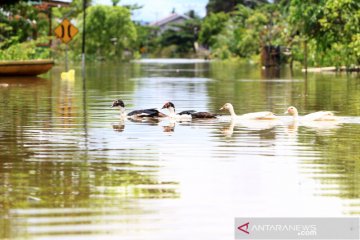 Kapuas Hulu dikepung banjir, masyarakat diminta waspada