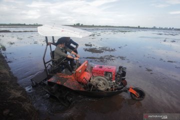 Gubernur Kalteng dukung penuh proyek "food estate"