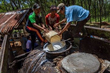 Industri pengolahan karet