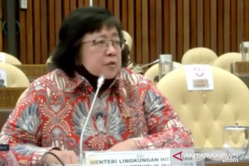 Menteri LHK minta dukungan Komisi IV DPR untuk DAK Lingkungan Hidup