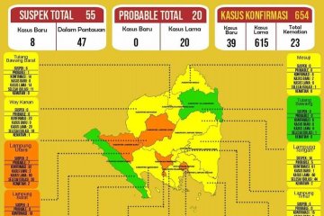 Dinkes : Di Lampung terdapat tambahan 39 kasus COVID-19