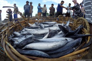 Legislator sebut ide lumbung ikan nasional cukup menjanjikan