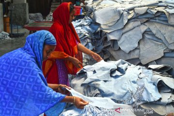 Melihat industri penyamakan kulit di Bangladesh