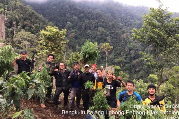 Polisi bongkar ladang ganja seluas dua hektare di Bengkulu