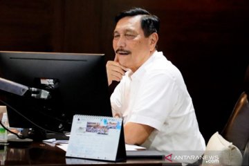 Luhut ungkap upaya tangani COVID-19 di delapan provinsi