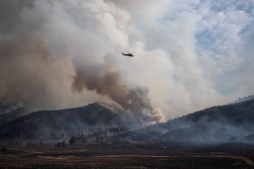 Paraguay umumkan keadaan darurat saat kebakaran hutan berkobar