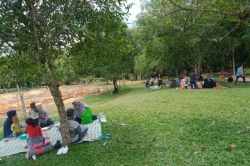 Selama pandemi pengunjung Hutan kota turun hingga 75 persen