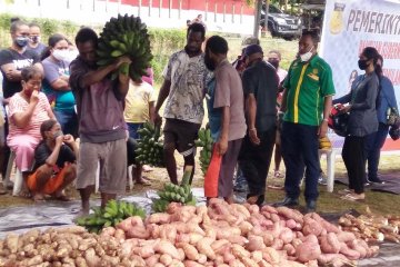 Pengamat nilai UU Cipta Kerja bisa perkuat produksi pangan domestik