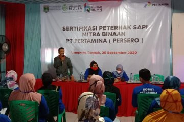 Pertamina berikan pelatihan bersertifikat kepada peternak sapi