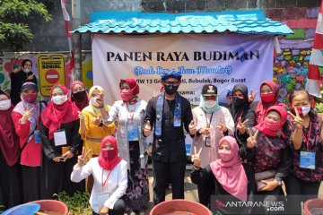 Panen raya di tengah pandemi pada pertanian di perkotaan