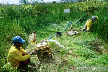 Pembasahan lahan gambut guna cegah kebakaran