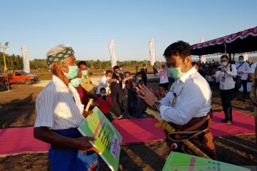 Tanam jagung di Sumba Tengah, Mentan pastikan produksi tercukupi